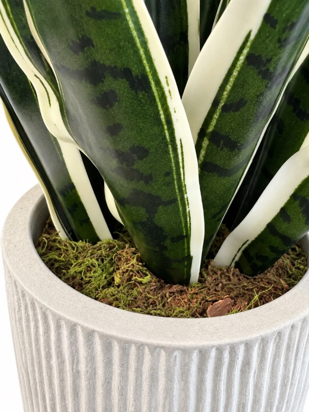 Large Faux Snake Plant in White Ribbed Planter